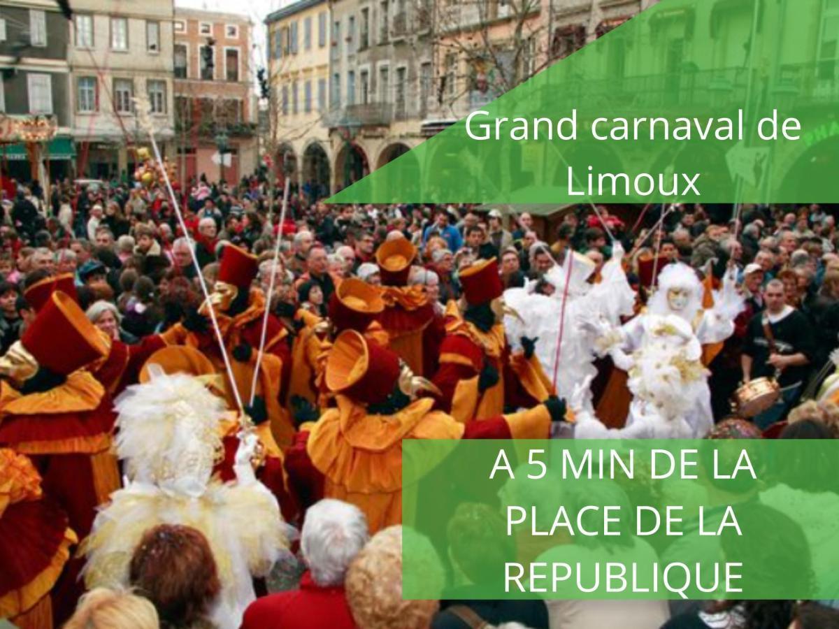 Апартаменты Le Cathare-Limoux-Wifi-Parking Free-Oc-Keys Экстерьер фото